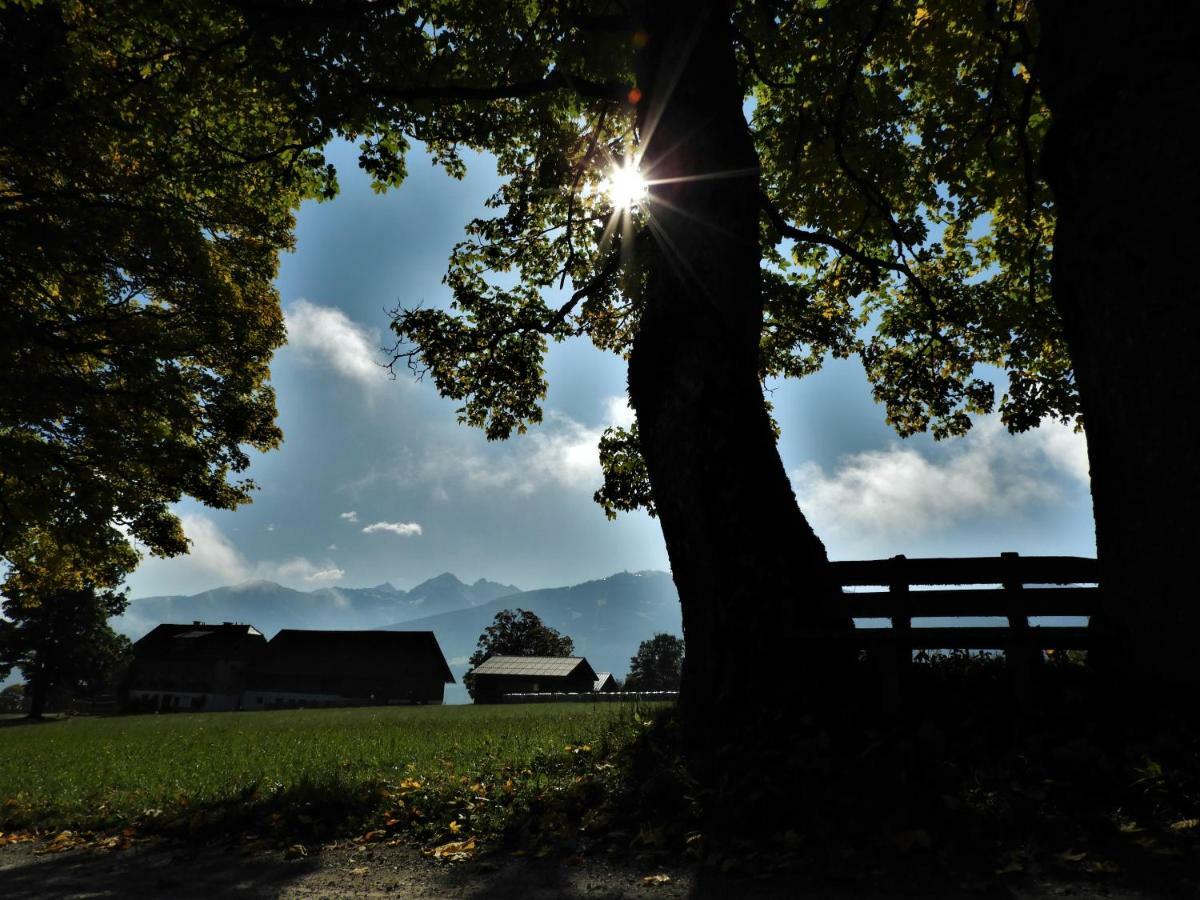 Appartamento Eggerhof Ramsau am Dachstein Esterno foto